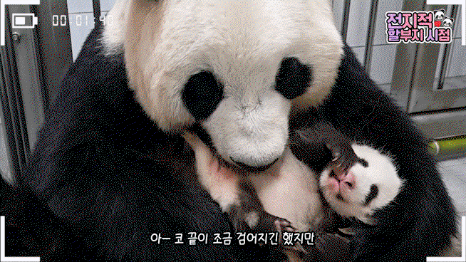 geKejb.gif