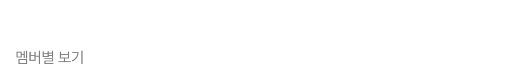멤버별