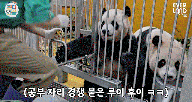 gekrVt.gif