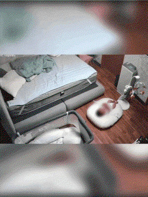 gewQOE.gif