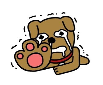 giCOTO