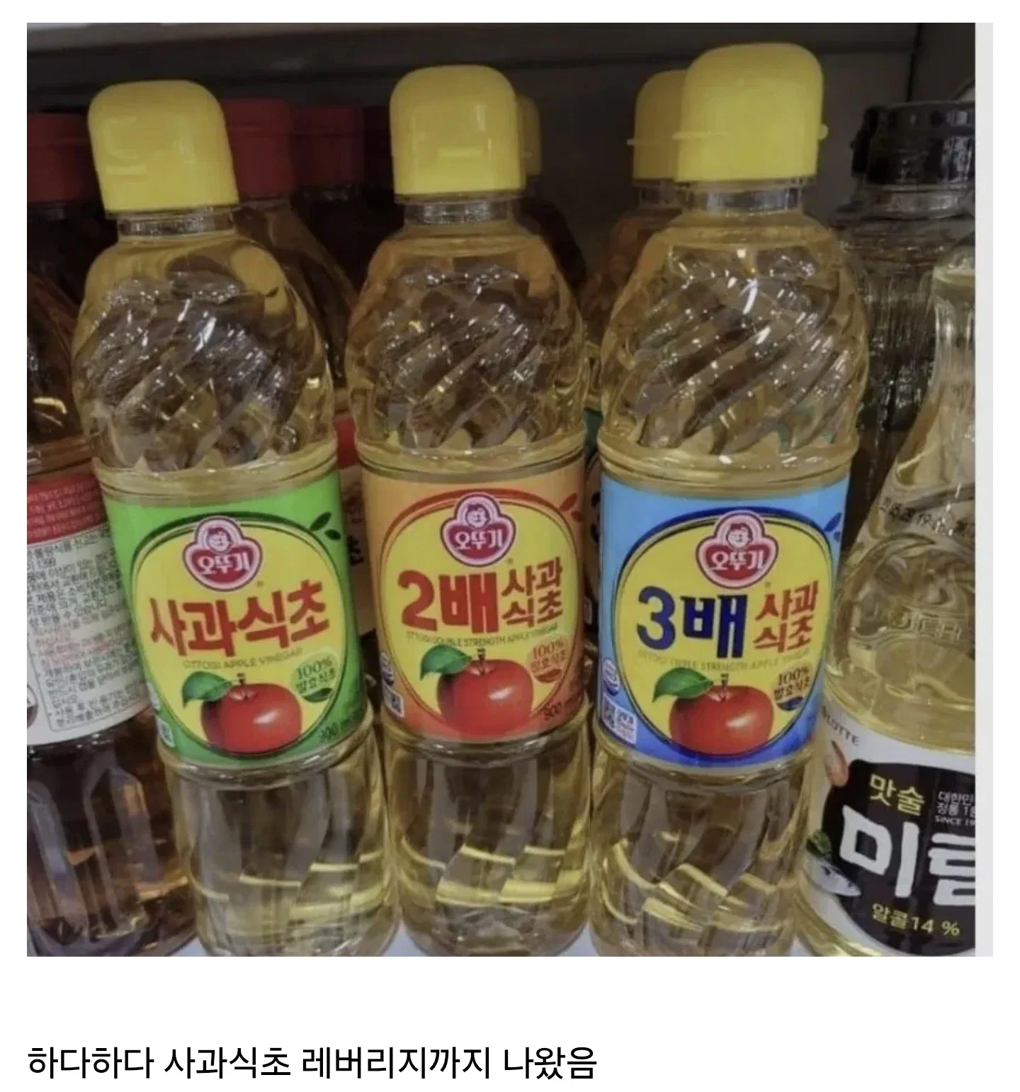 gjaLlw