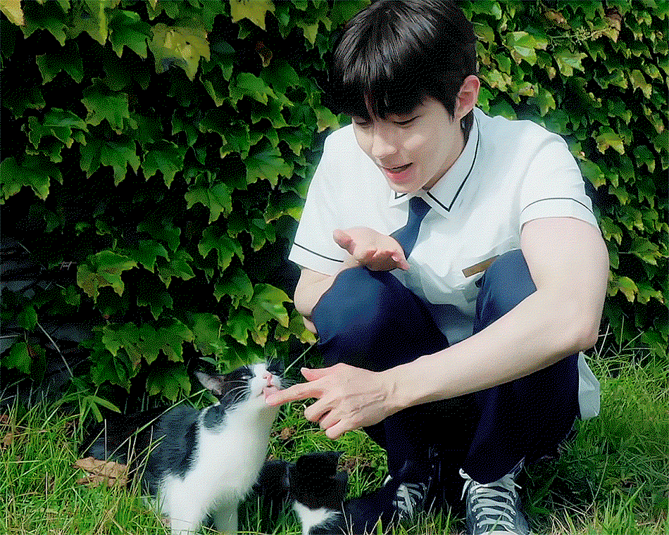 gkSJDL.gif