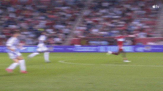 glTcvn.gif