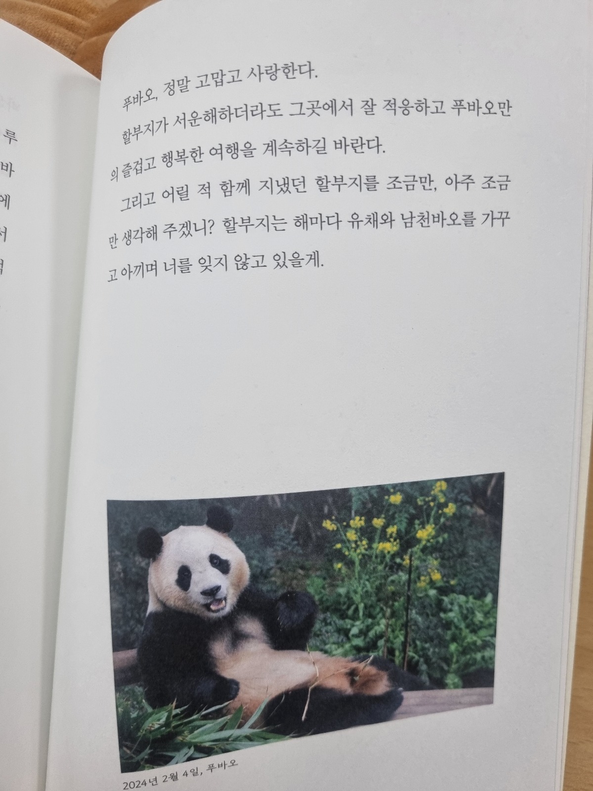 더쿠 - 나는 행복한 푸바오 할부지입니다 후기 凉
