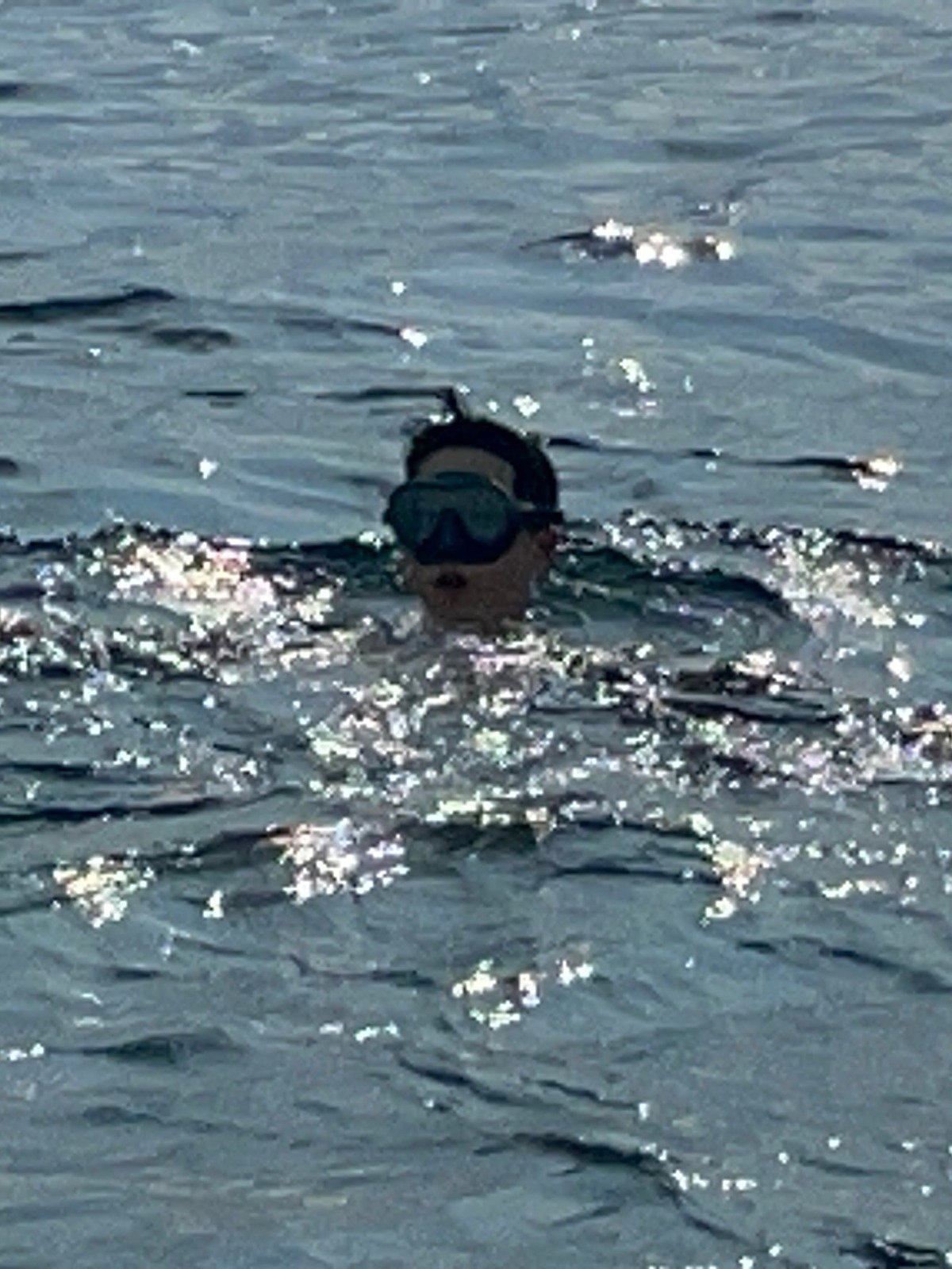 gpHOoR