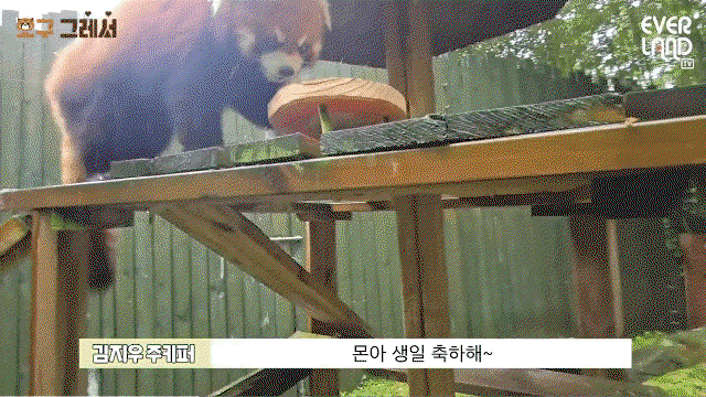 gqouzk.gif