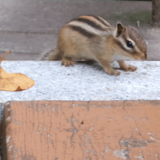 grQvRt.gif