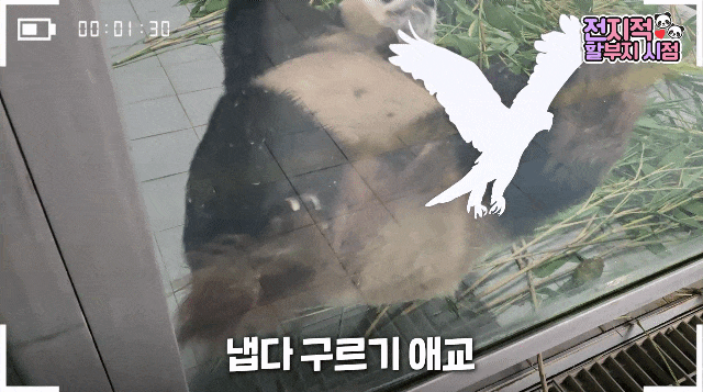 gzoCwG.gif