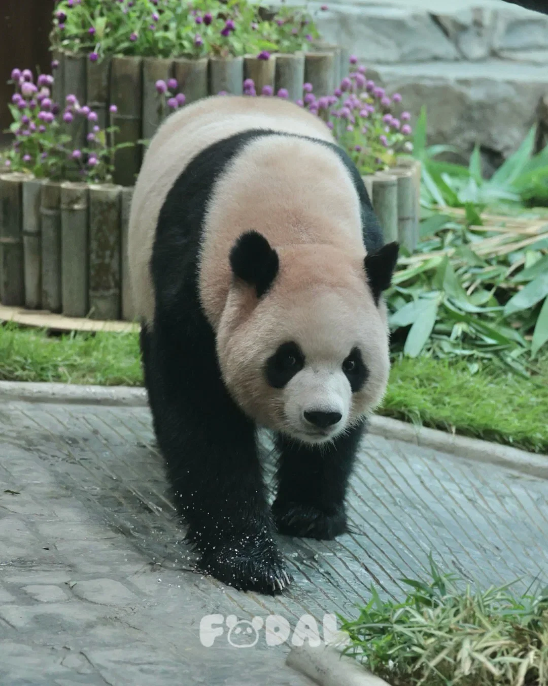 hAoQAE