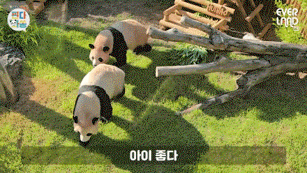 hCIeXj.gif