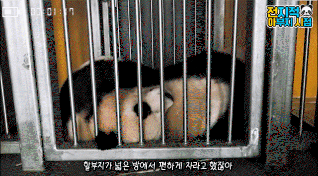 hCzNdc.gif