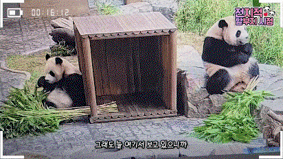 hEDYTm.gif