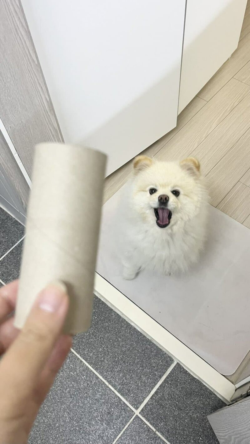 hGZrYg