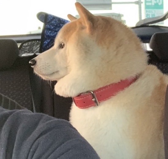 hKCseZ