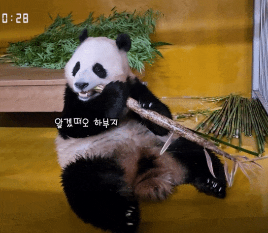 hKEkbh.gif