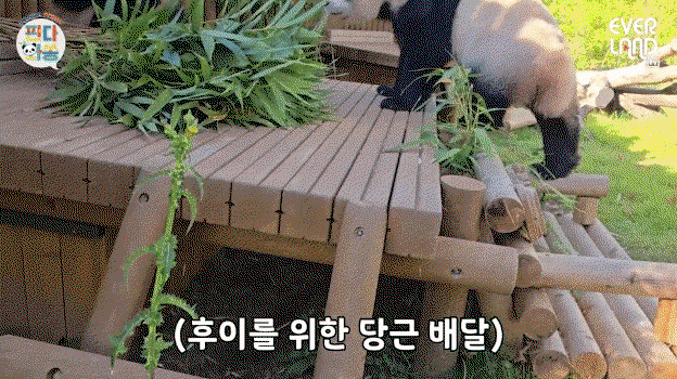 hKpeKq.gif