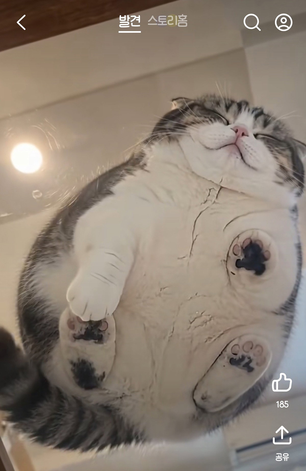 hMpgwp