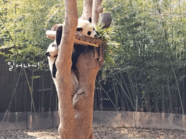 hOyPzO.gif