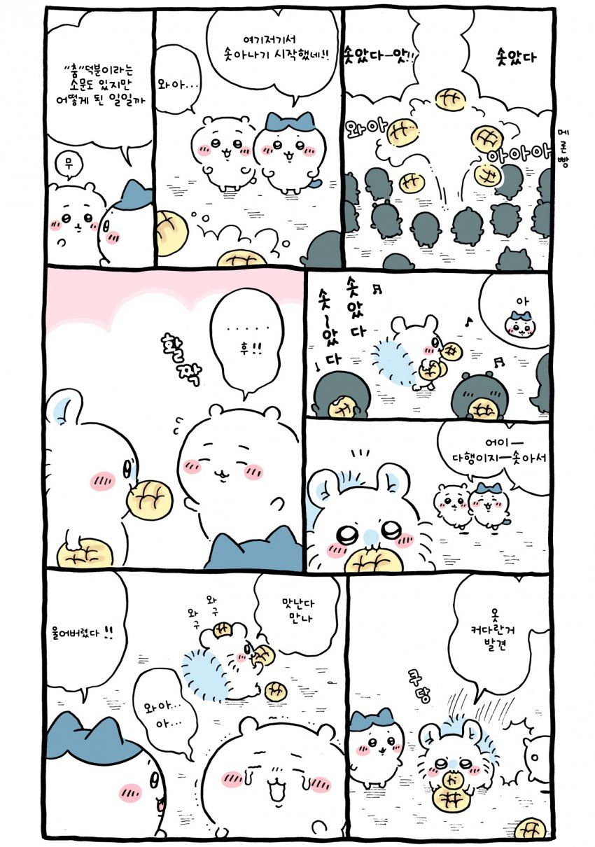 hPhDpl