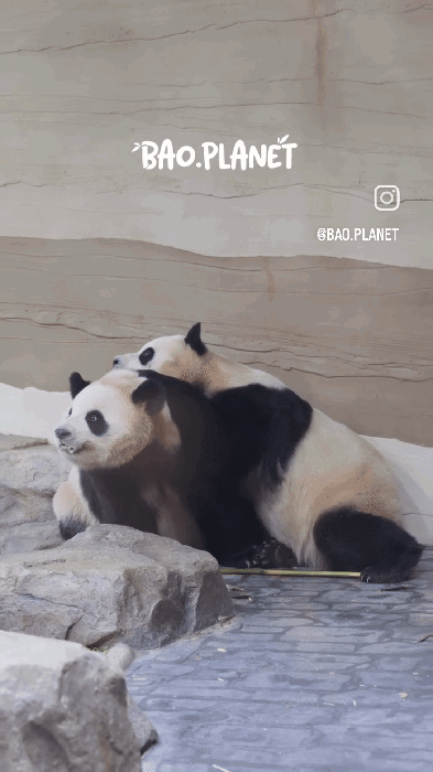 hRbQZJ.gif