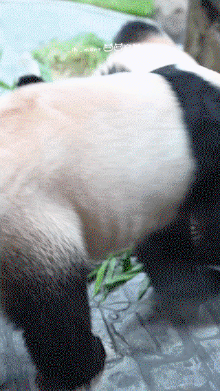 hTriOn.gif