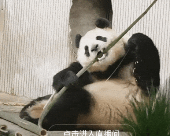 hTspkW.gif