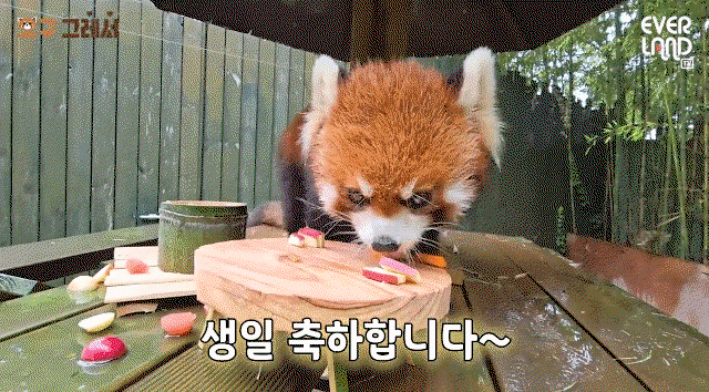 hWGxJR.gif