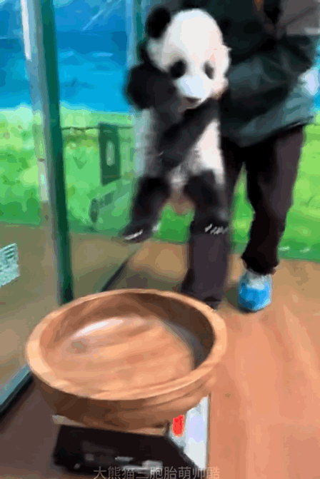 hWQYbN.gif