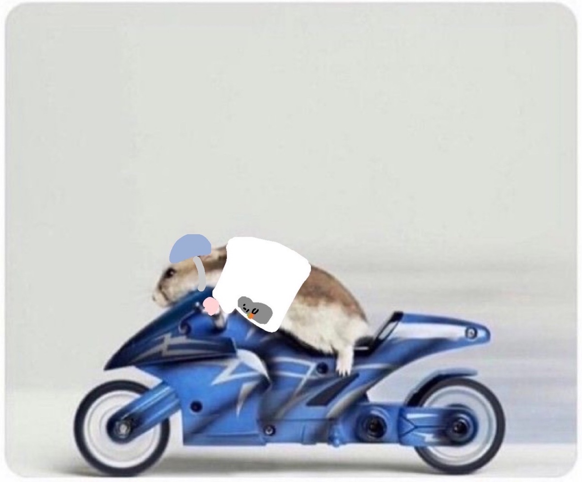 hWapSL