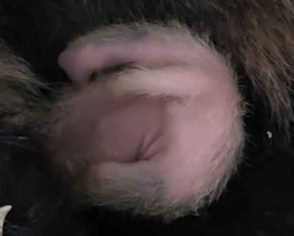 hXgkHl