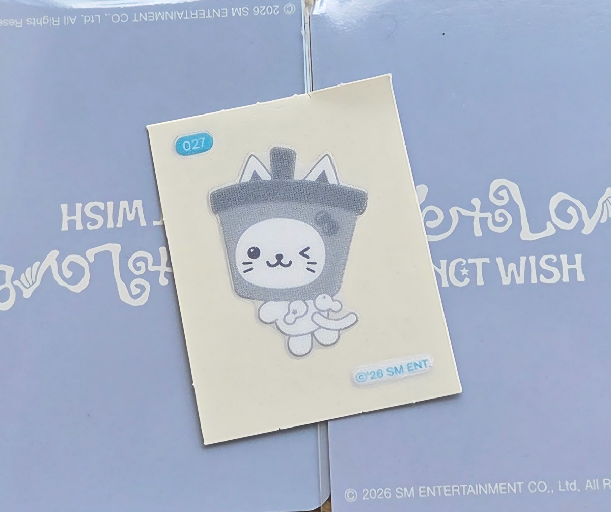 hZMgSW