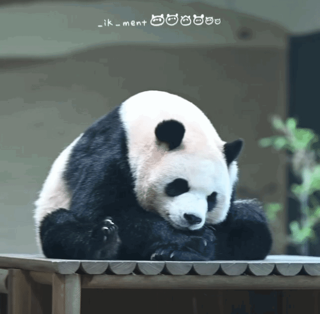 haDrlW.gif