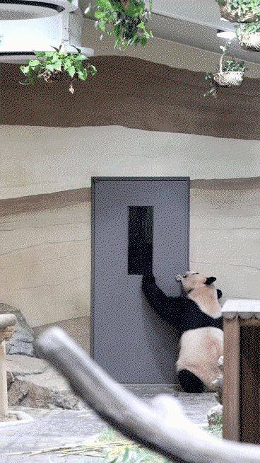 hajlQb.gif