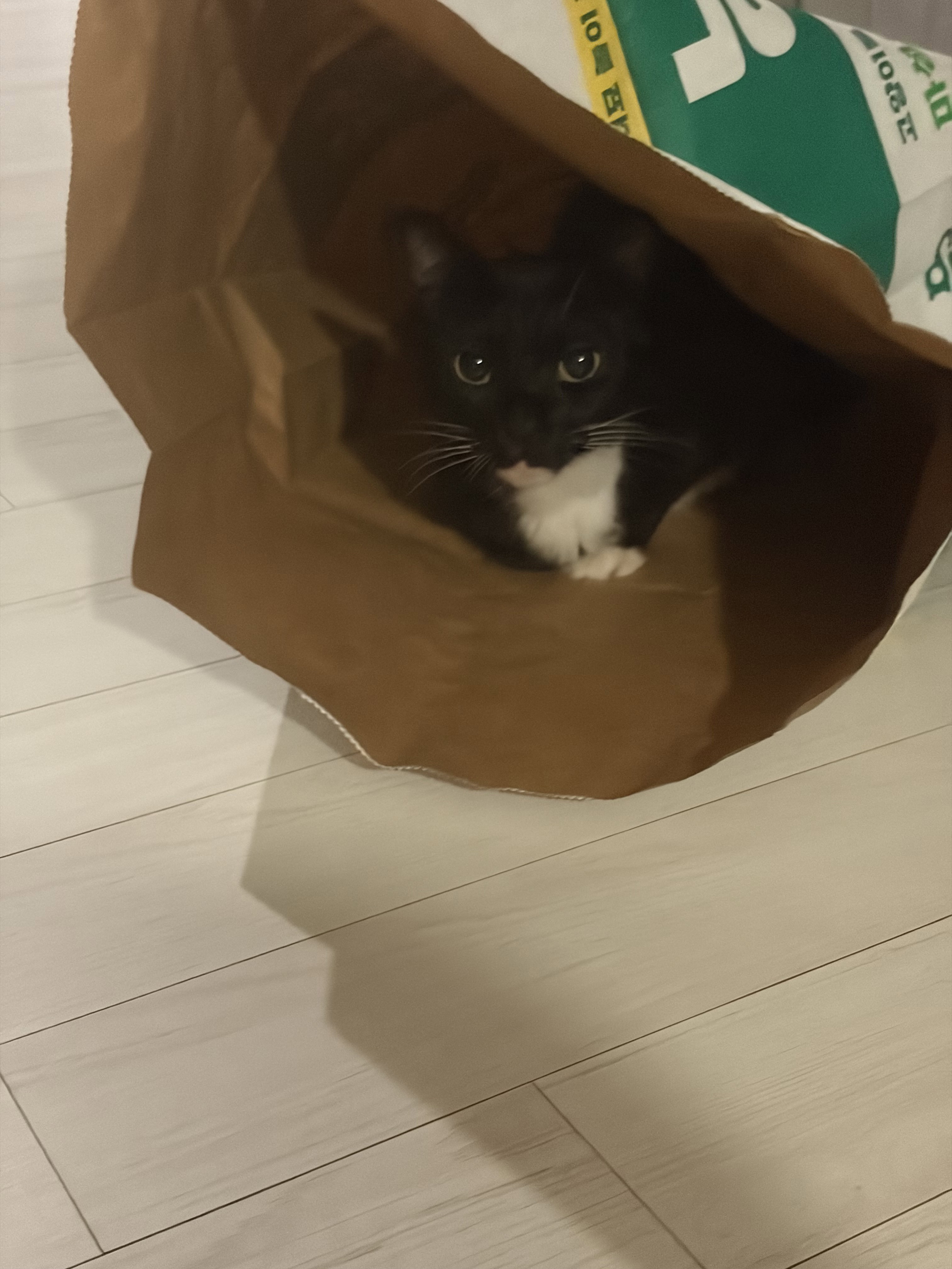 hbFGxp