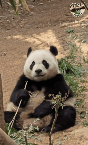 hdLXUW.gif