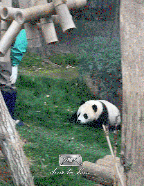 hdkhEb.gif
