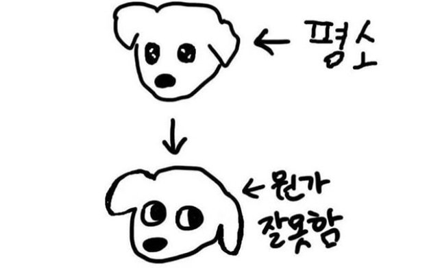 hfTeWX