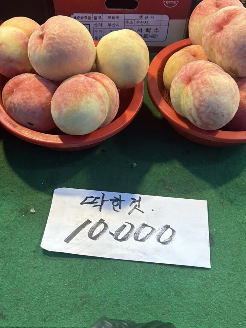 hljUOC