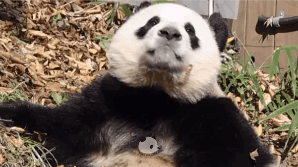 hqIFgi.gif