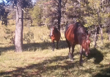 hqUDIn.gif