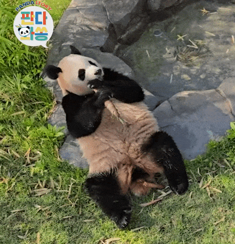 hqtMtN.gif