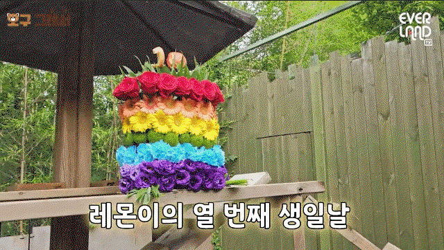 hqxTjO.gif