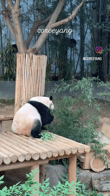 hrrvkL.gif