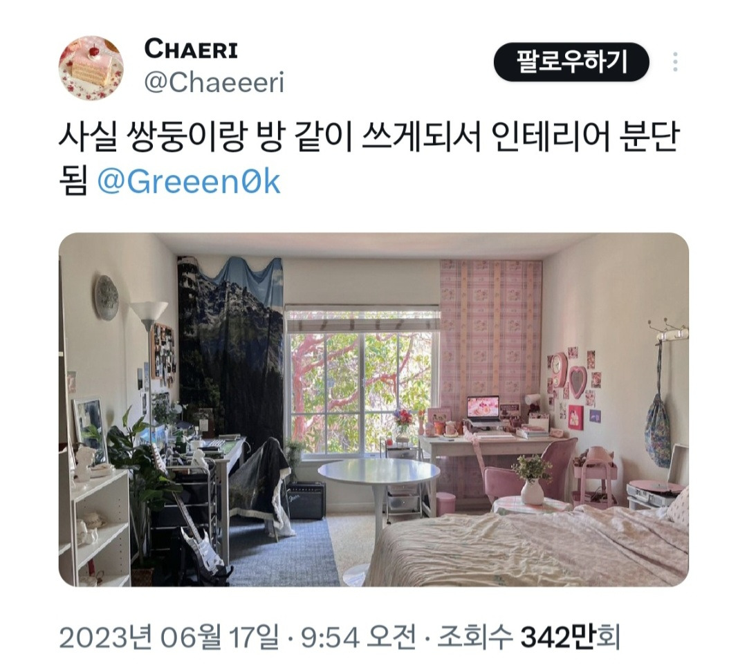 더쿠 - 어릴때부터 쌍둥이랑 반대로 했는데 이제 집도 반대로 꾸밈.twt