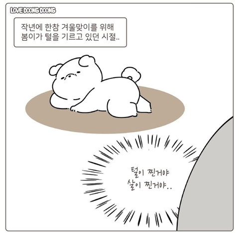 hsYfdD