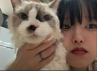 hswpsk.gif