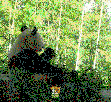 hwkHzK.gif