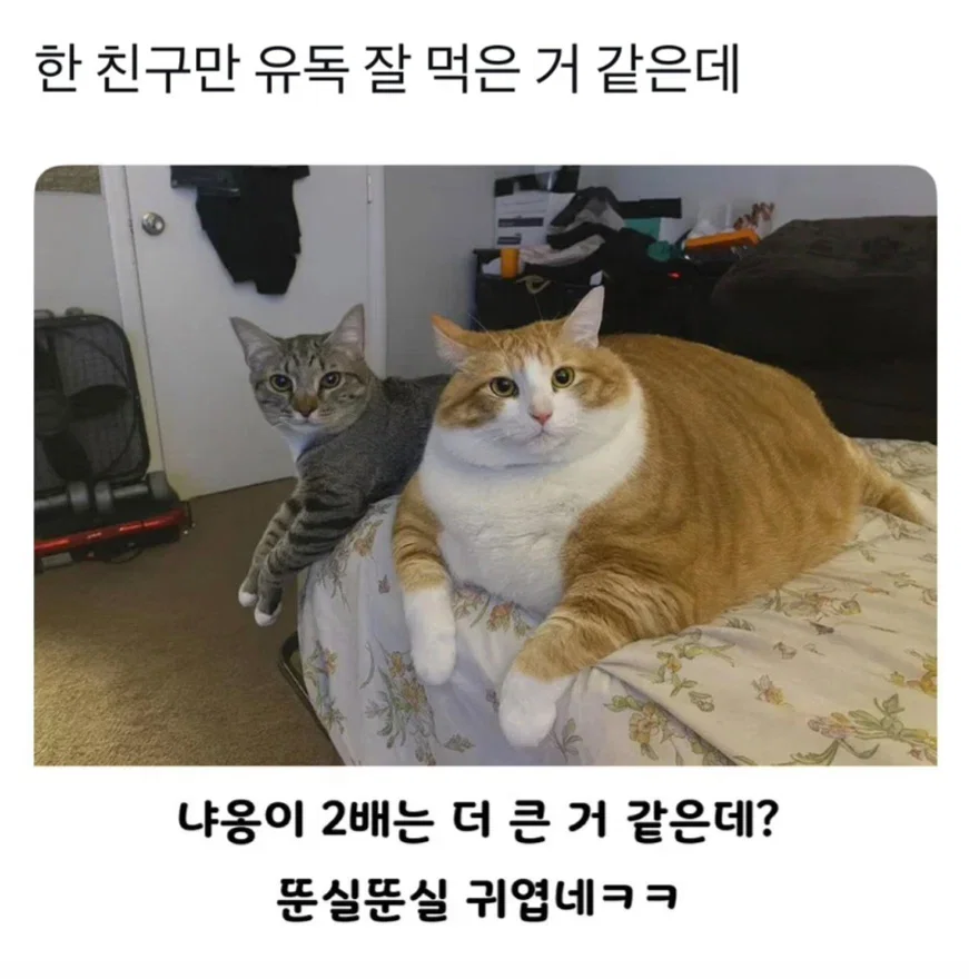 hwzbJx