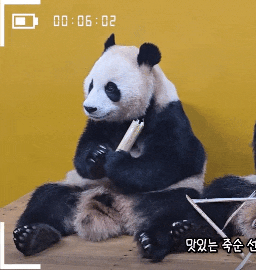 hxTICV.gif
